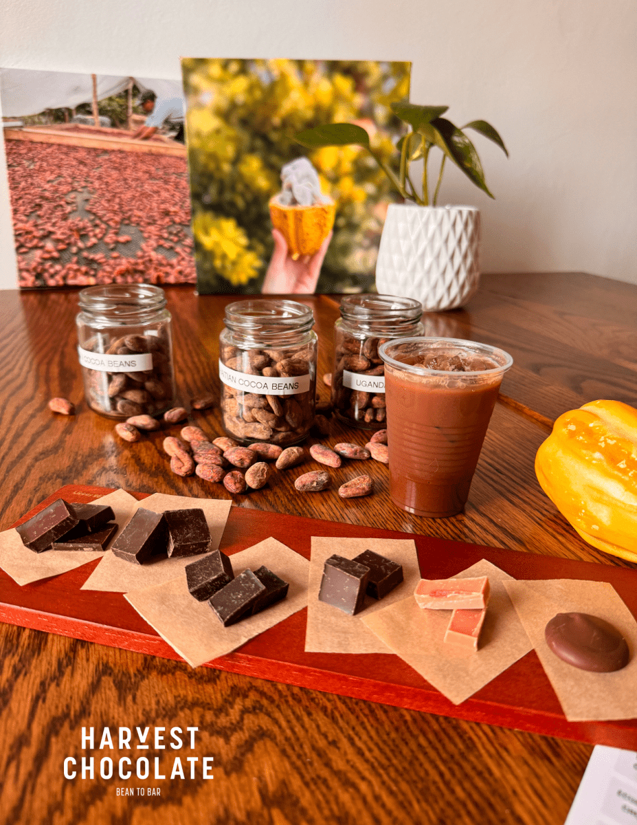 BEAN TO BAR CHOCOLATE TASTING - Harvest Chocolate