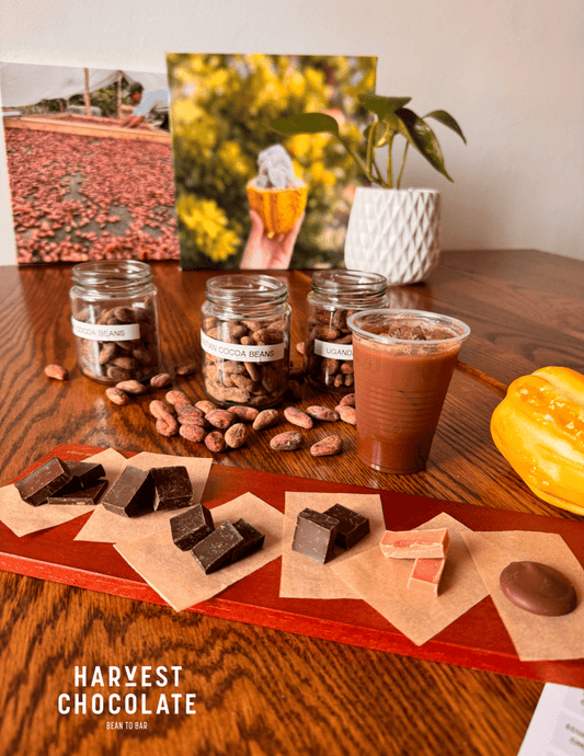 BEAN TO BAR CHOCOLATE TASTING – bean - to - bar chocolate by Harvest Chocolate