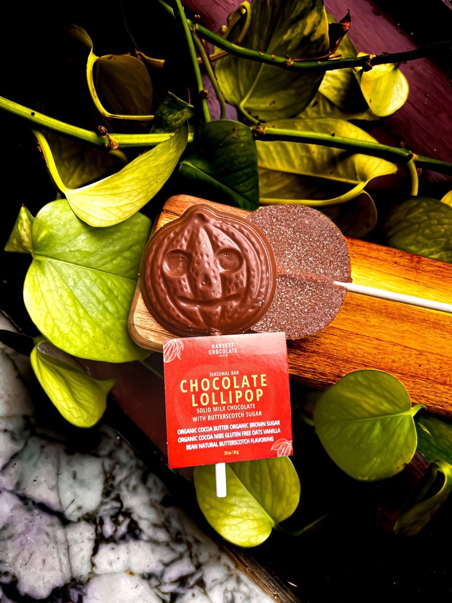 Jack O' Lantern Chocolate Lollipop – bean - to - bar chocolate by Harvest Chocolate