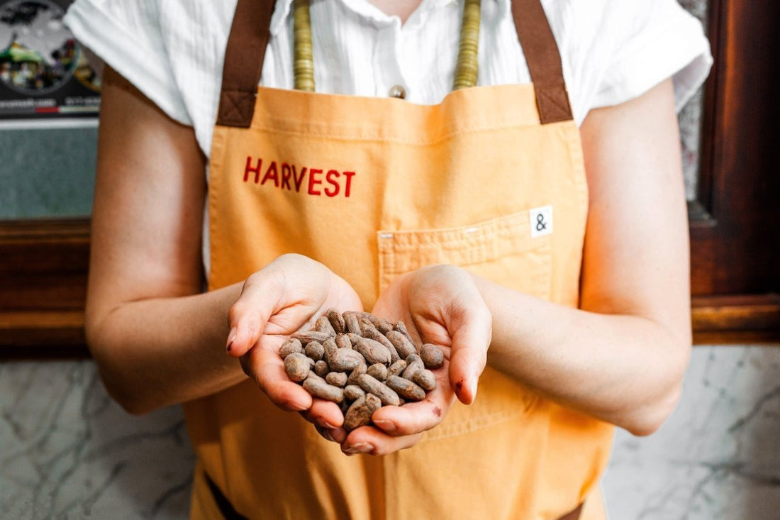 What 'Bean-to-Bar' Really Means (And Why It Matters) - Harvest Chocolate