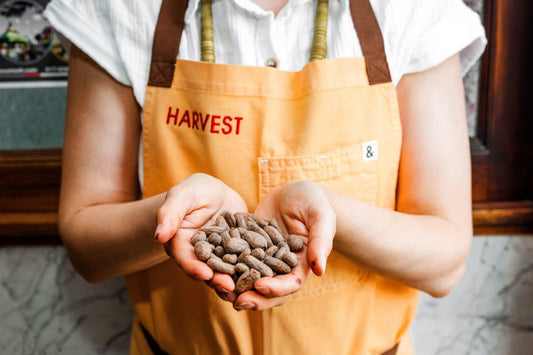 What 'Bean-to-Bar' Really Means (And Why It Matters) - Harvest Chocolate