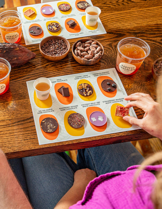 BEAN TO BAR CHOCOLATE TASTING
