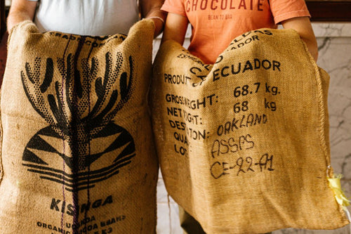 Burlap Cocoa Bean Sacks – bean - to - bar chocolate by Harvest Chocolate