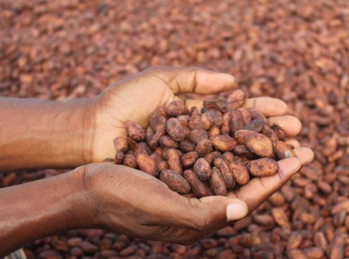 Haiti Snacking Chocolate - Harvest Chocolate