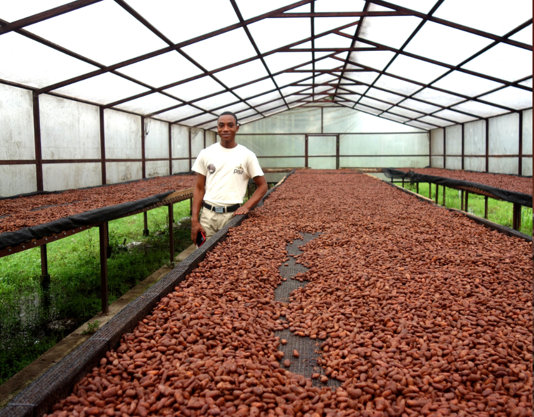 Haiti Snacking Chocolate - Harvest Chocolate