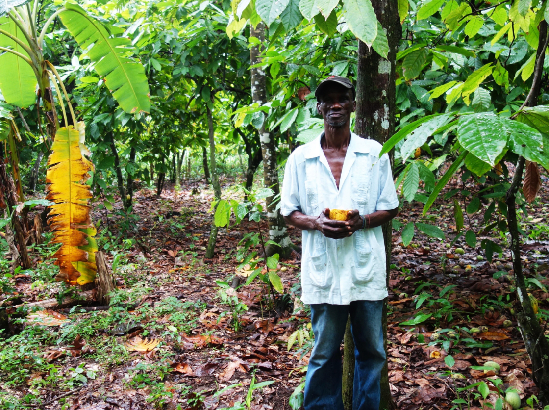 Haiti Snacking Chocolate - Harvest Chocolate