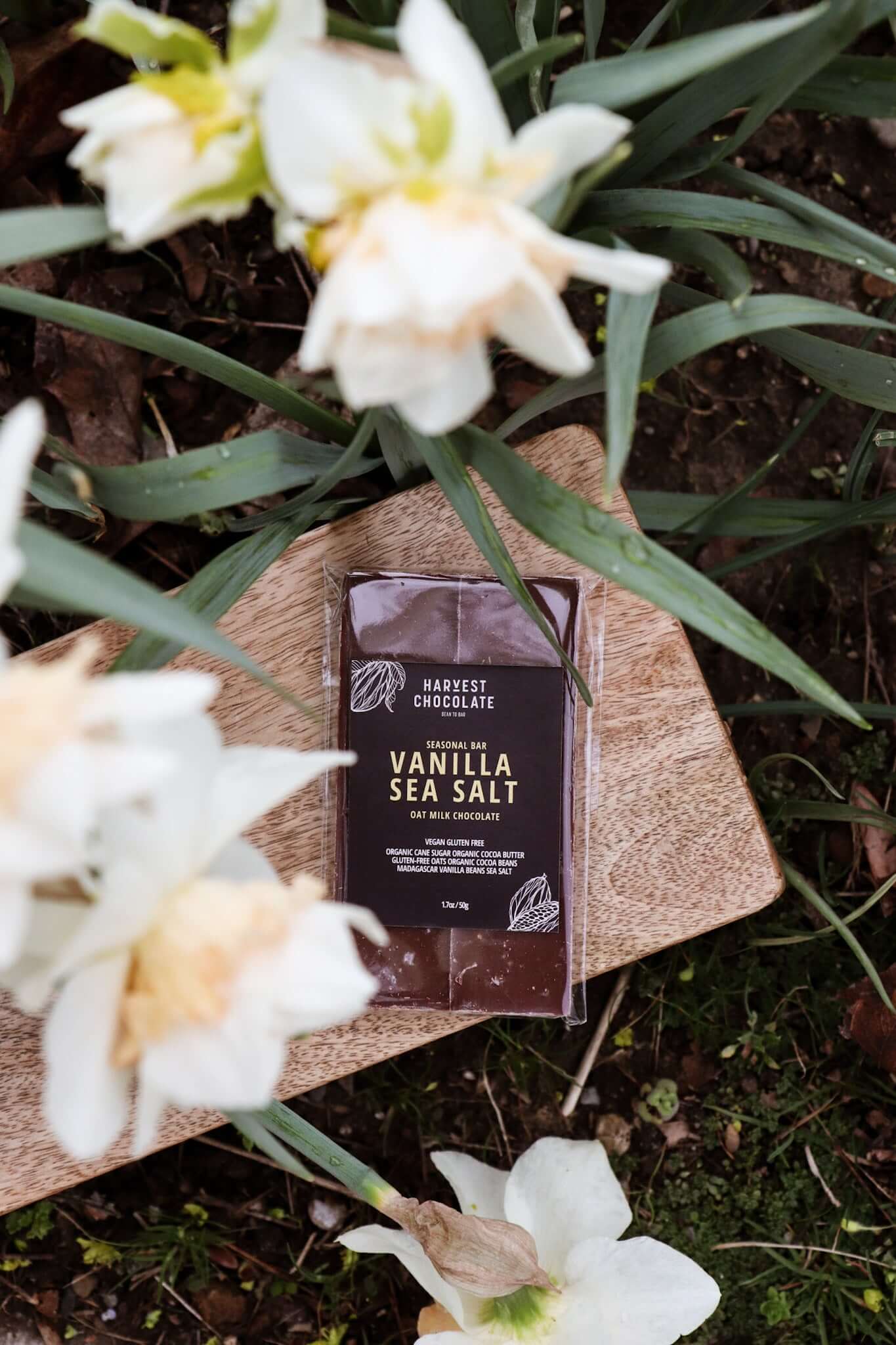 Vanilla Bean Sea Salt Oat Milk Chocolate | Indulge in Classic Elegance ...